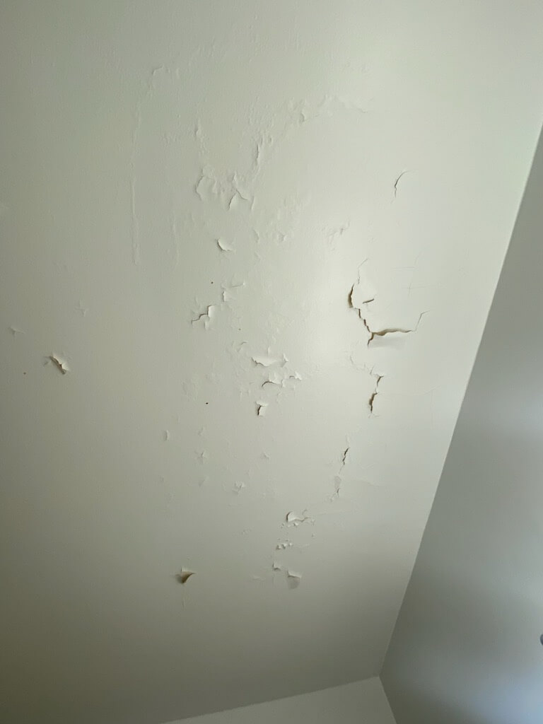 What Causes Ceiling Paint to Flake and Peel? ThePaintGuys