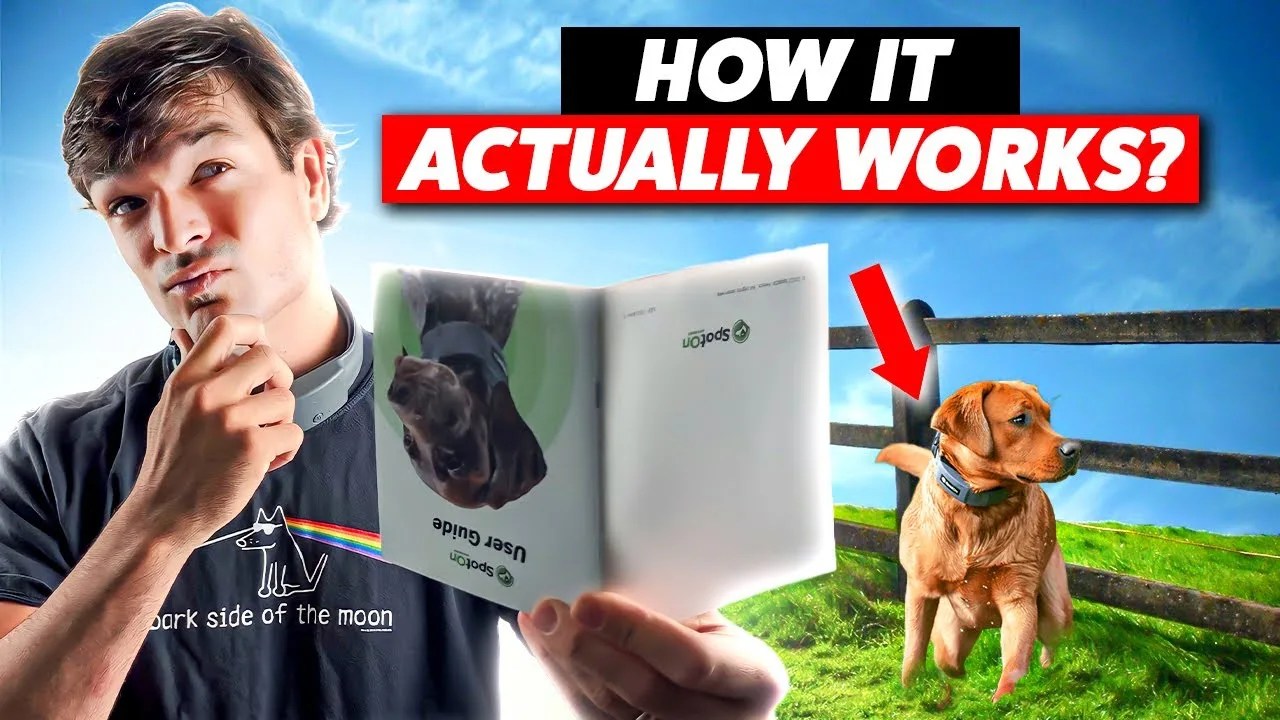 How Invisible Dog Fences Work [Do they actually work?