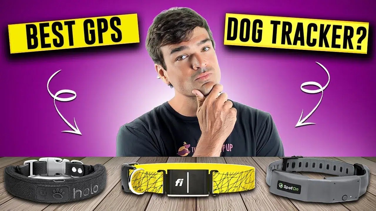 Best GPS Tracker 2024 (Halo vs SpotOn vs Fi)