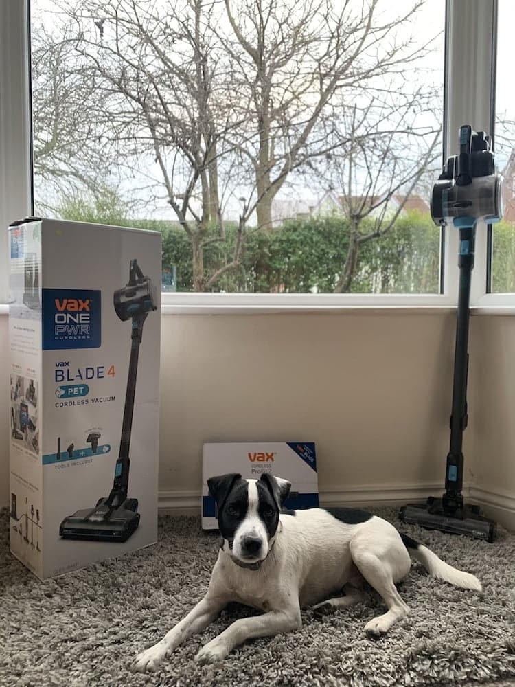 Vax ONEPWR Blade 4 Pet Review the perfect cordless vacuum for pet