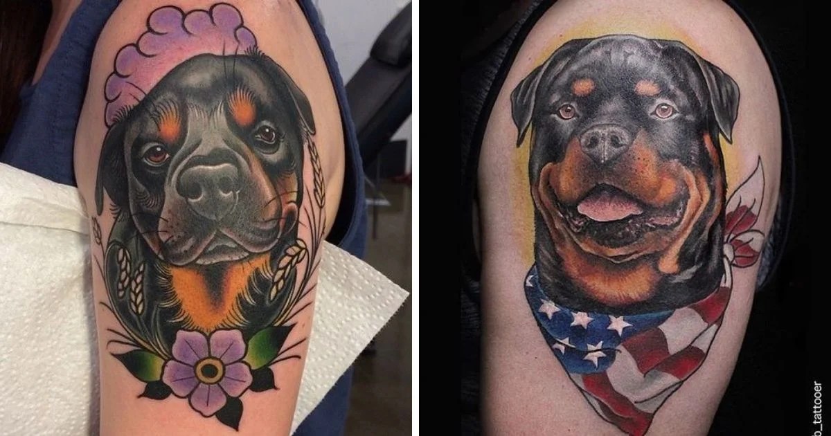 The 35+ Best Rottweiler Tattoo Designs In The World - The Paws 630_x_1200_jpg