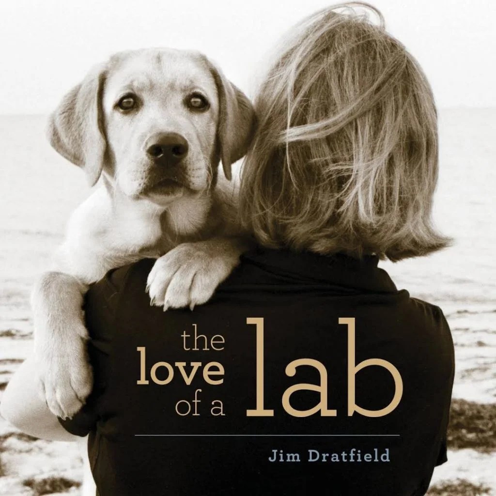 The 14 Best Books About Labrador Retrievers The Paws