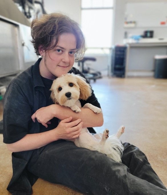 New Braunfels’ Only KennelFree Dog Salon The Paw Spa