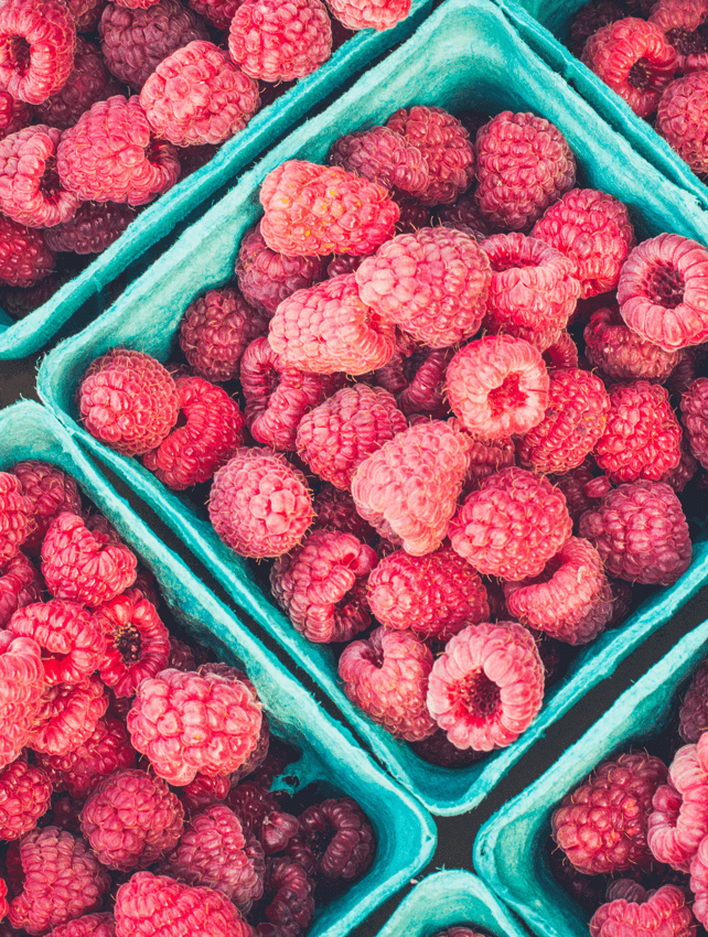 What are the Benefits of Raspberry Ketones The Peach Kitchen