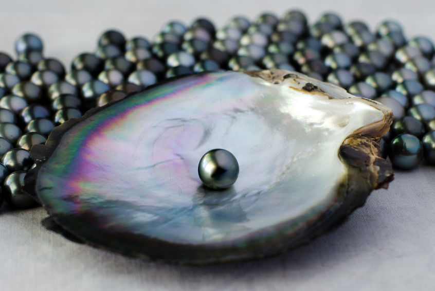 How Much Are Pearls Worth? Get to Know Their Value Pearls of Wisdom