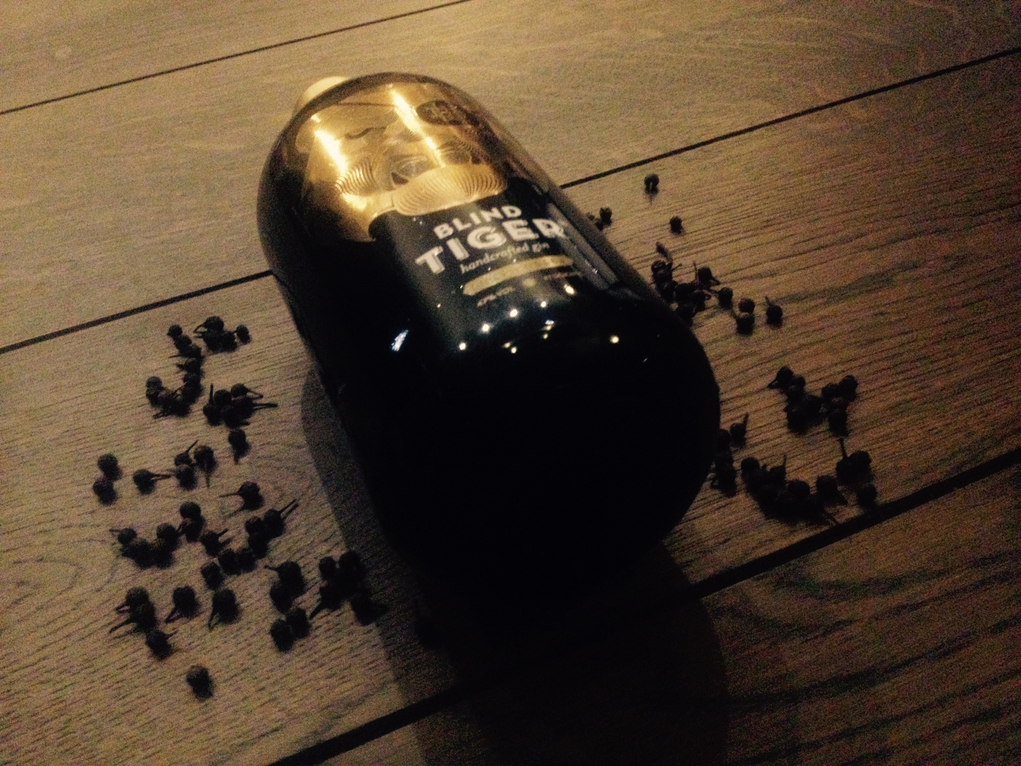 Kruidige gins ThePerfectServe