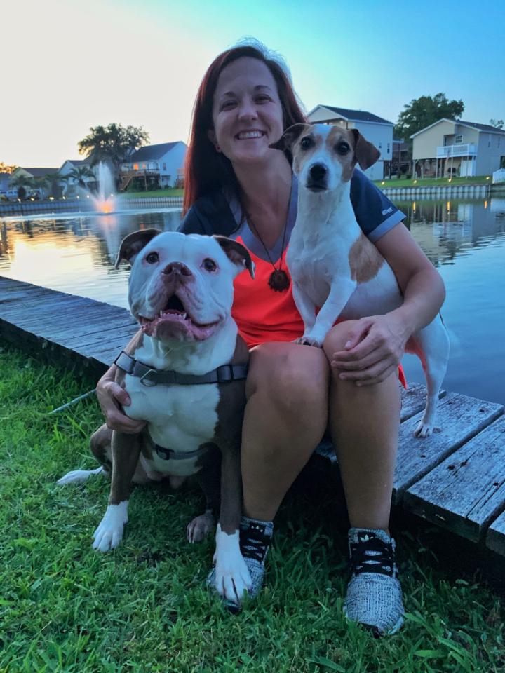 Brittany The Pet Doctor