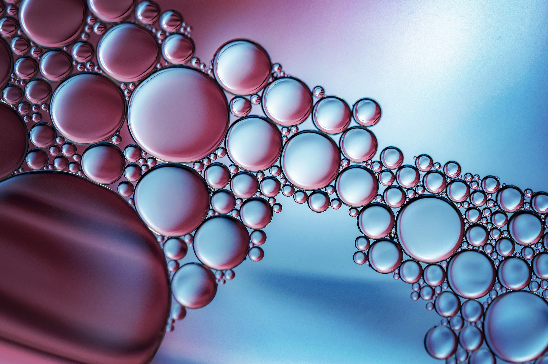 How Karyn Easton Captures Mesmerizing Photos of Oil and Water