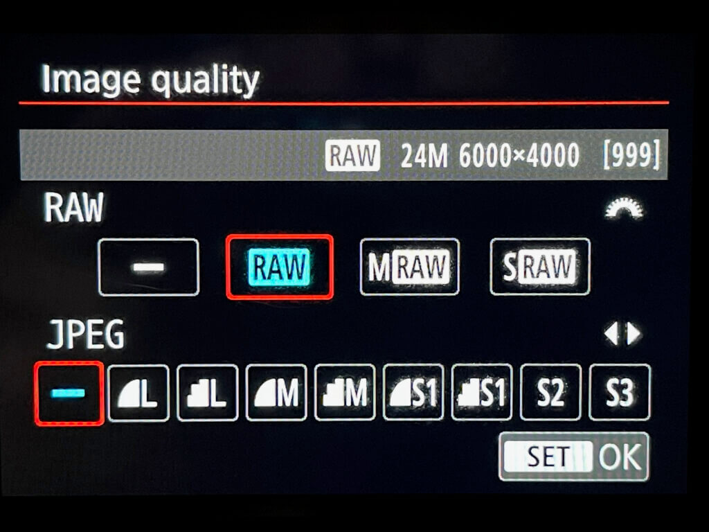 RAW vs JPEG in Photography The Photo Argus