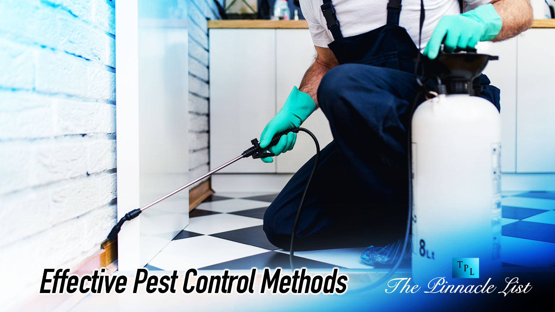 Effective Pest Control Methods A Comprehensive Guide The Pinnacle List