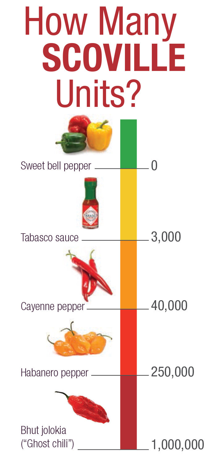 The Science of Spice The Pipettepen
