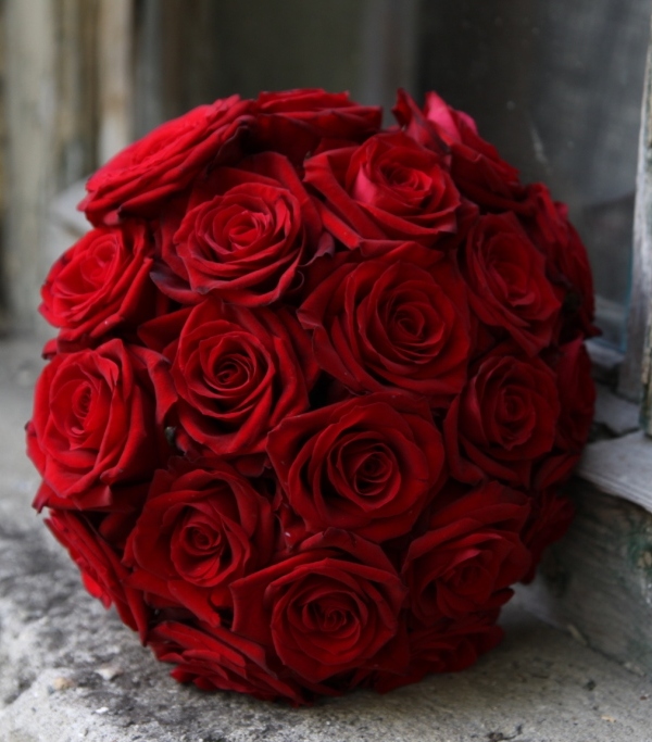 Activism 101 10 Alternatives to Roses this Valentine’s Day The Pixel