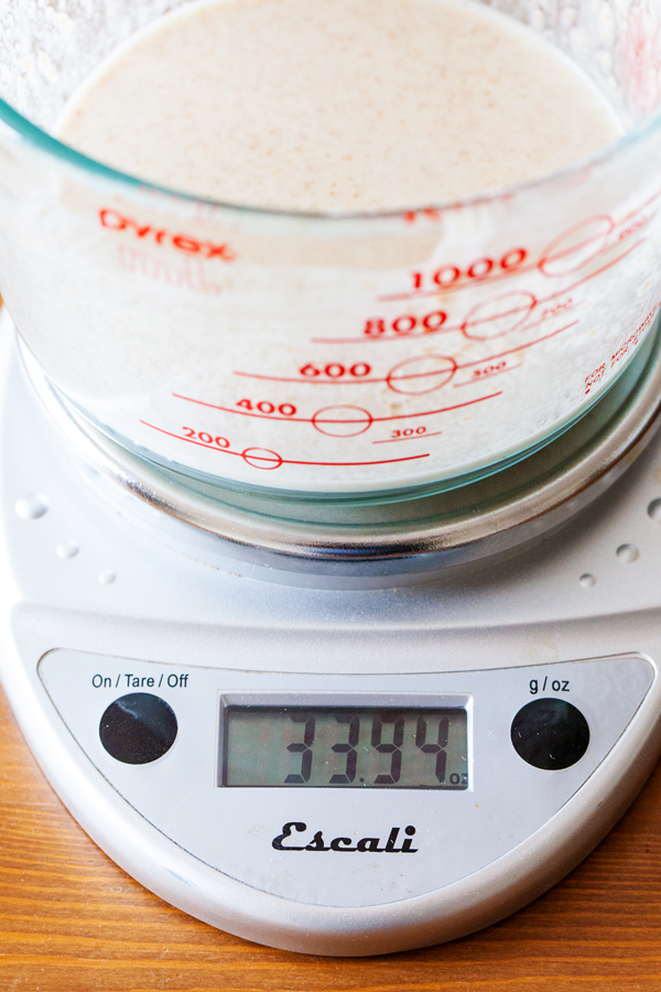 Sourdough Starter + FREE Printable Schedule The PKP Way