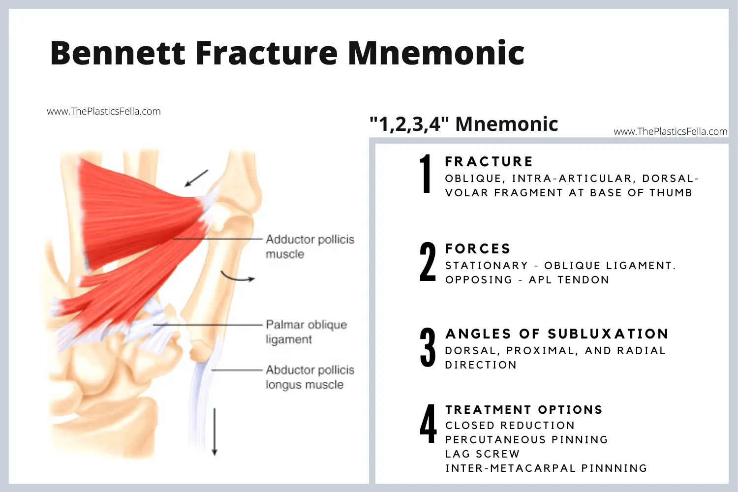 Fracture XRays, Diagnosis, Treatment.