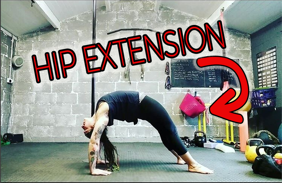 Pole gains in the gym 5 dumbbell exercises for pole dancers The Pole PT