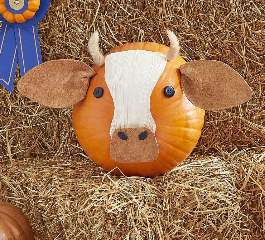 20 Pumpkin Painting Ideas & No Carve Pumpkin Ideas