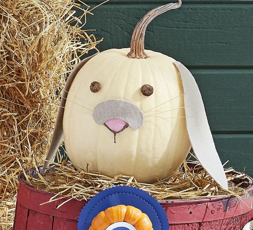 20 Pumpkin Painting Ideas & No Carve Pumpkin Ideas