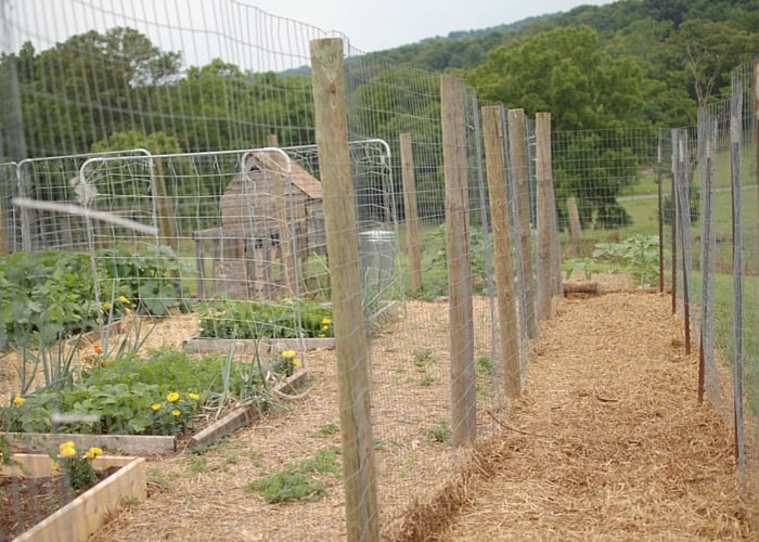 How to Build a Chicken Run • The Prairie Homestead
