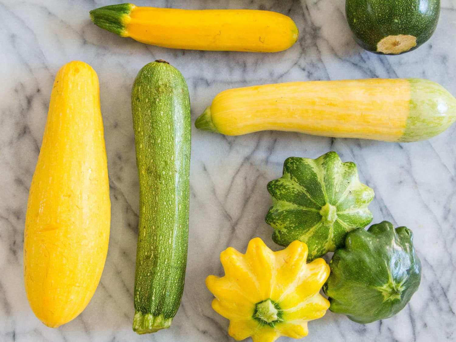 Success with Summer Squash The Prepper Dome
