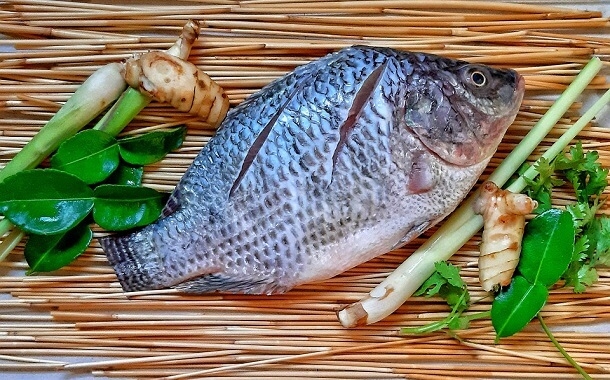 The Cost Of Tilapia In 2022 The Pricer