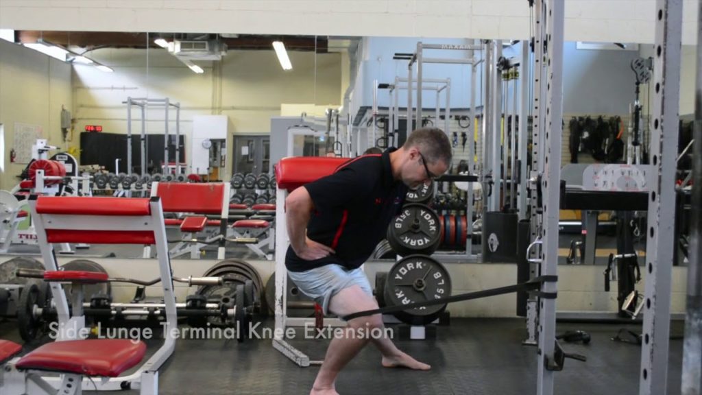 TerminalKneeExtensionProgressions The Proactive Athelete