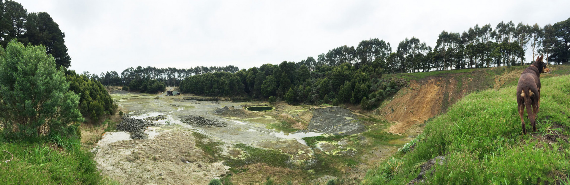 These Are The Projects We Do Together — The Projects Quarry