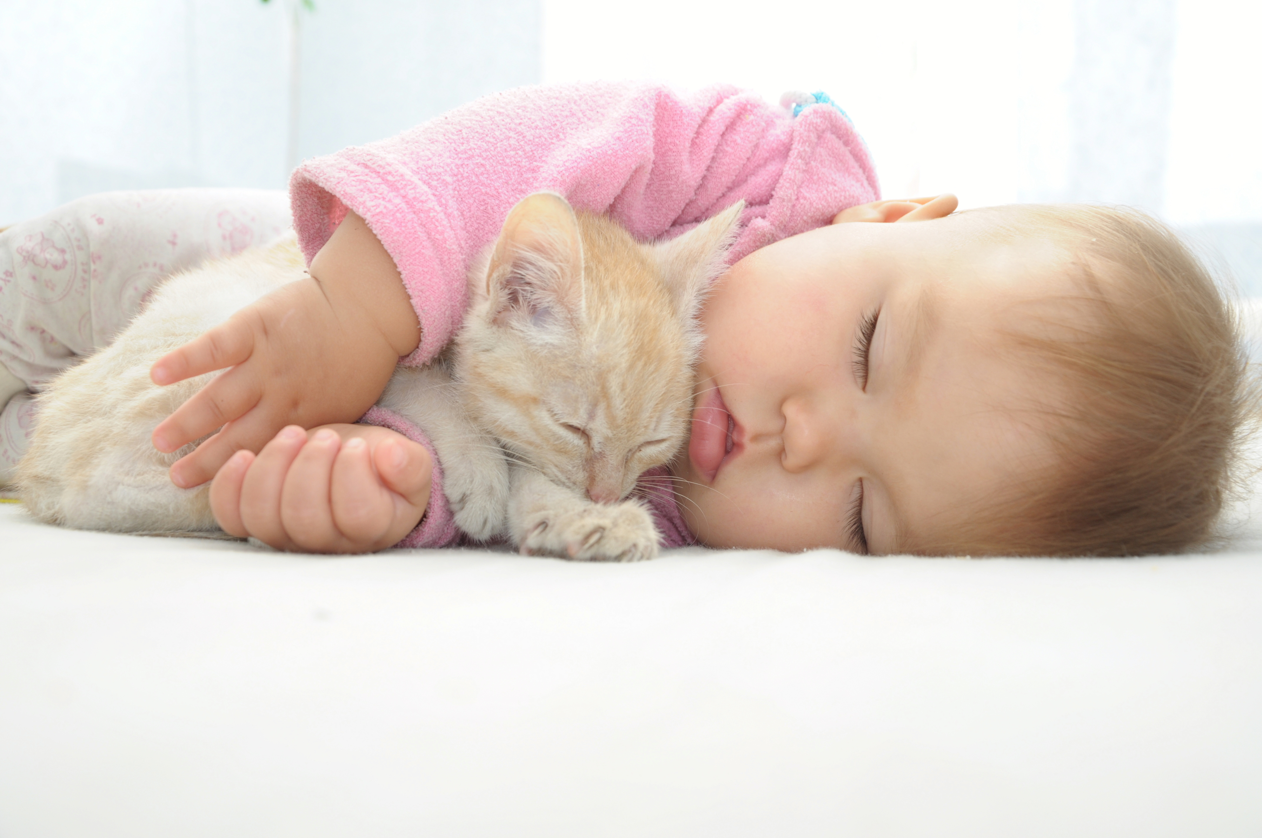 Double Standards on Abortion and Animal Rights Public