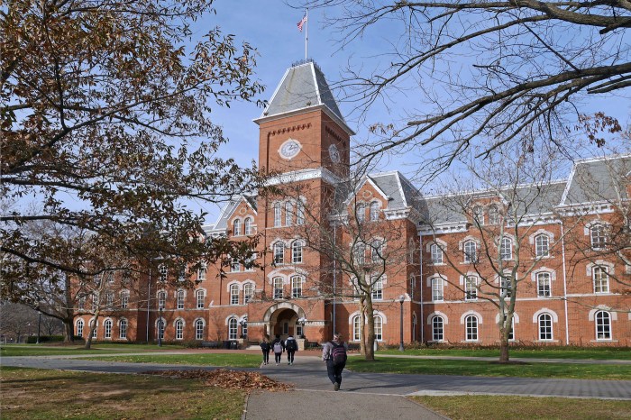 University Wallpapers - Top Free University Backgrounds - WallpaperAccess University of illinois coach