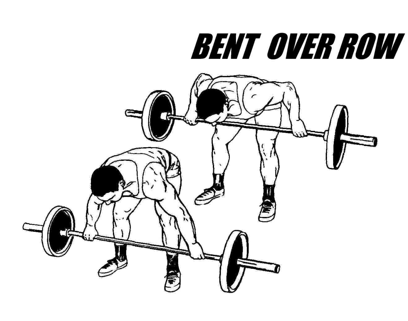 Bent Over Row, Barbell Row Lats Exercise