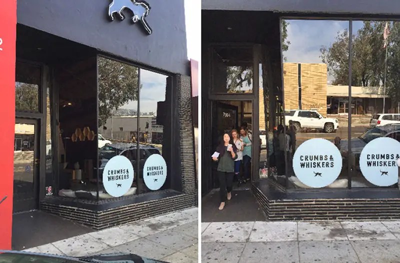 LA's New Cat Cafe is Meowvelous! The Purrington Post