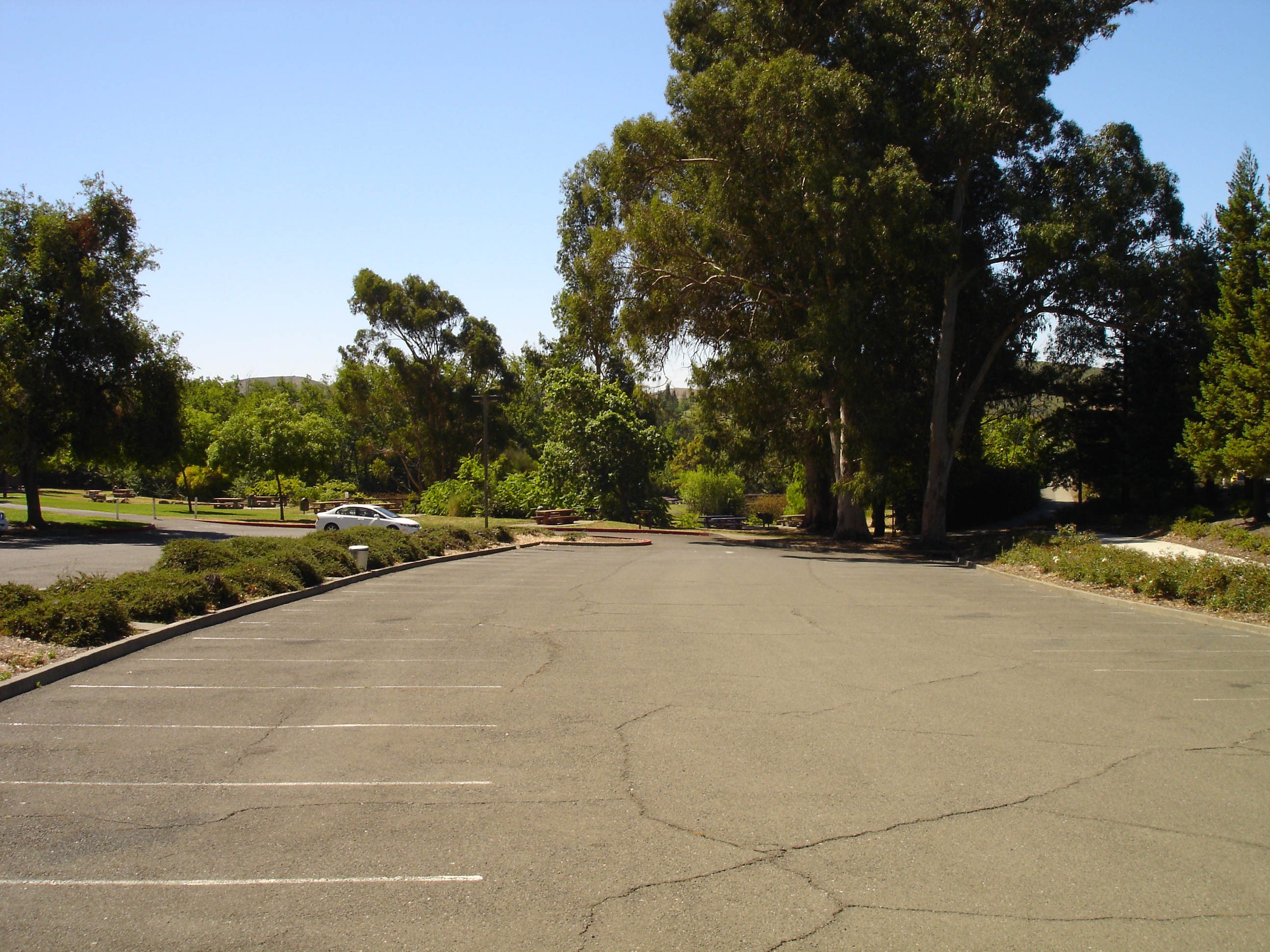 The Zodiac Killer Blue Rock Springs Murder Silencer or not?