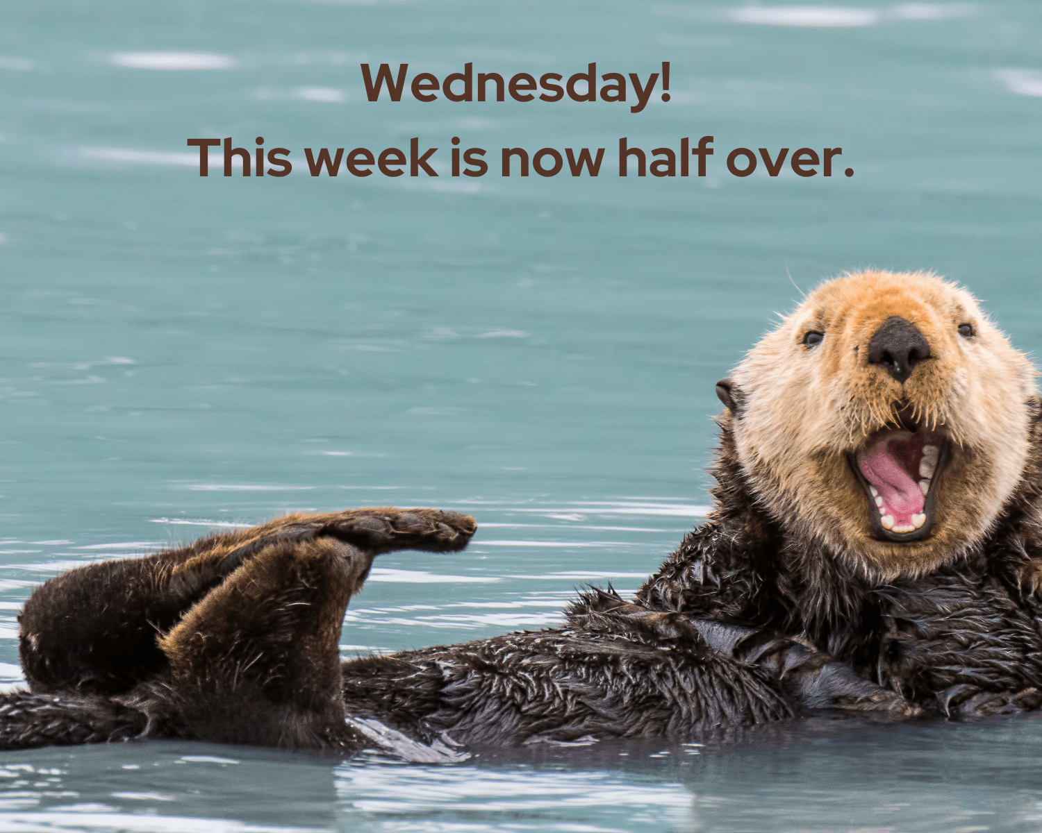 14 Best Wednesday Meme To Wash Away Your Midweek Blues