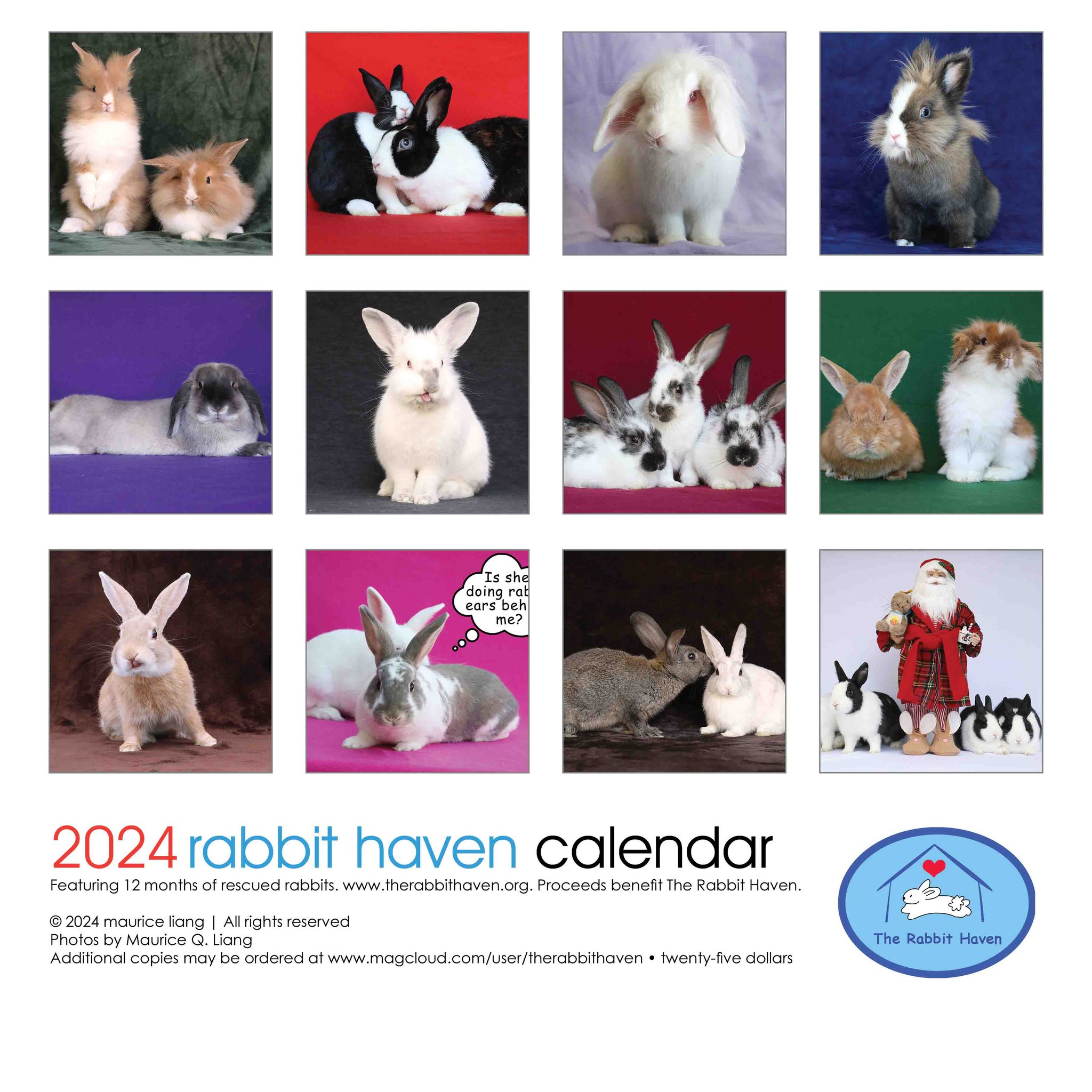 2024 Rabbit Haven calendar now available The Rabbit Haven