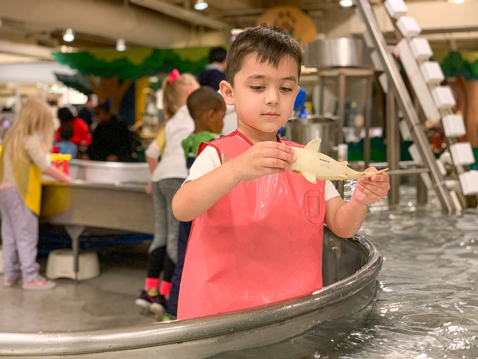 The Ultimate Family Weekend Guide to Cincinnati Ohio