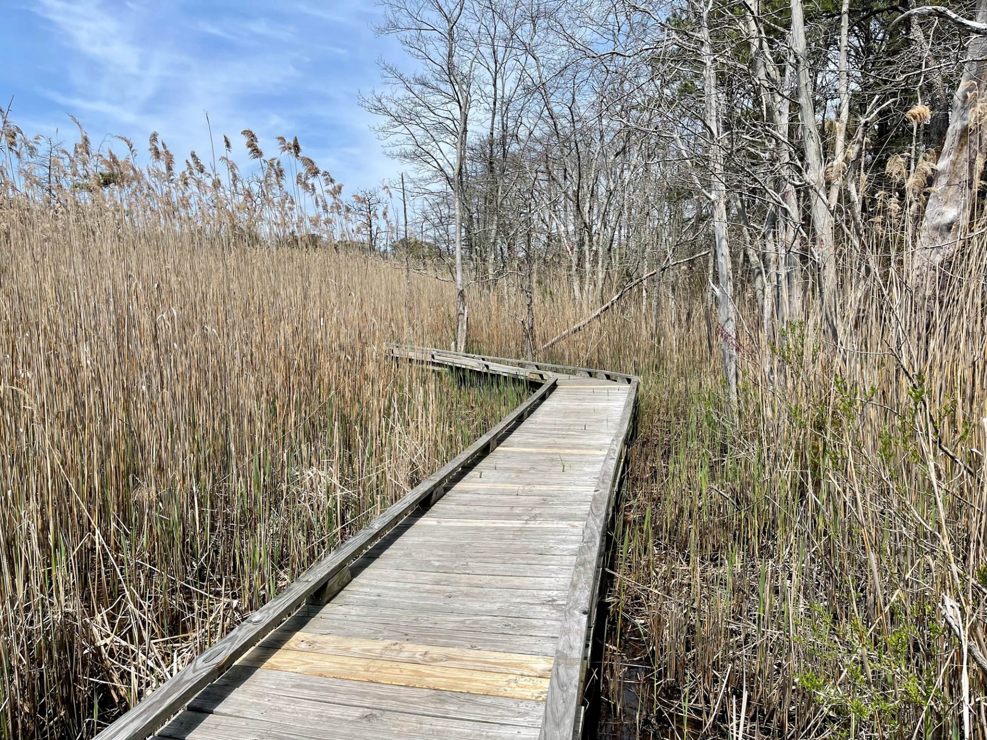 Point Pleasant The Real New Jersey