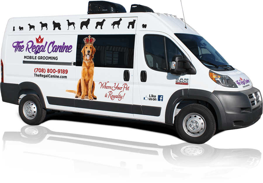 Services & Pricing The Regal Canine Mobile Grooming