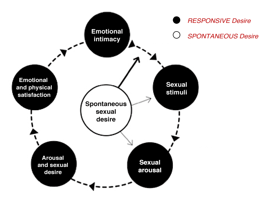 Female Sexual Responsiveness: A circular model | the relationship blog