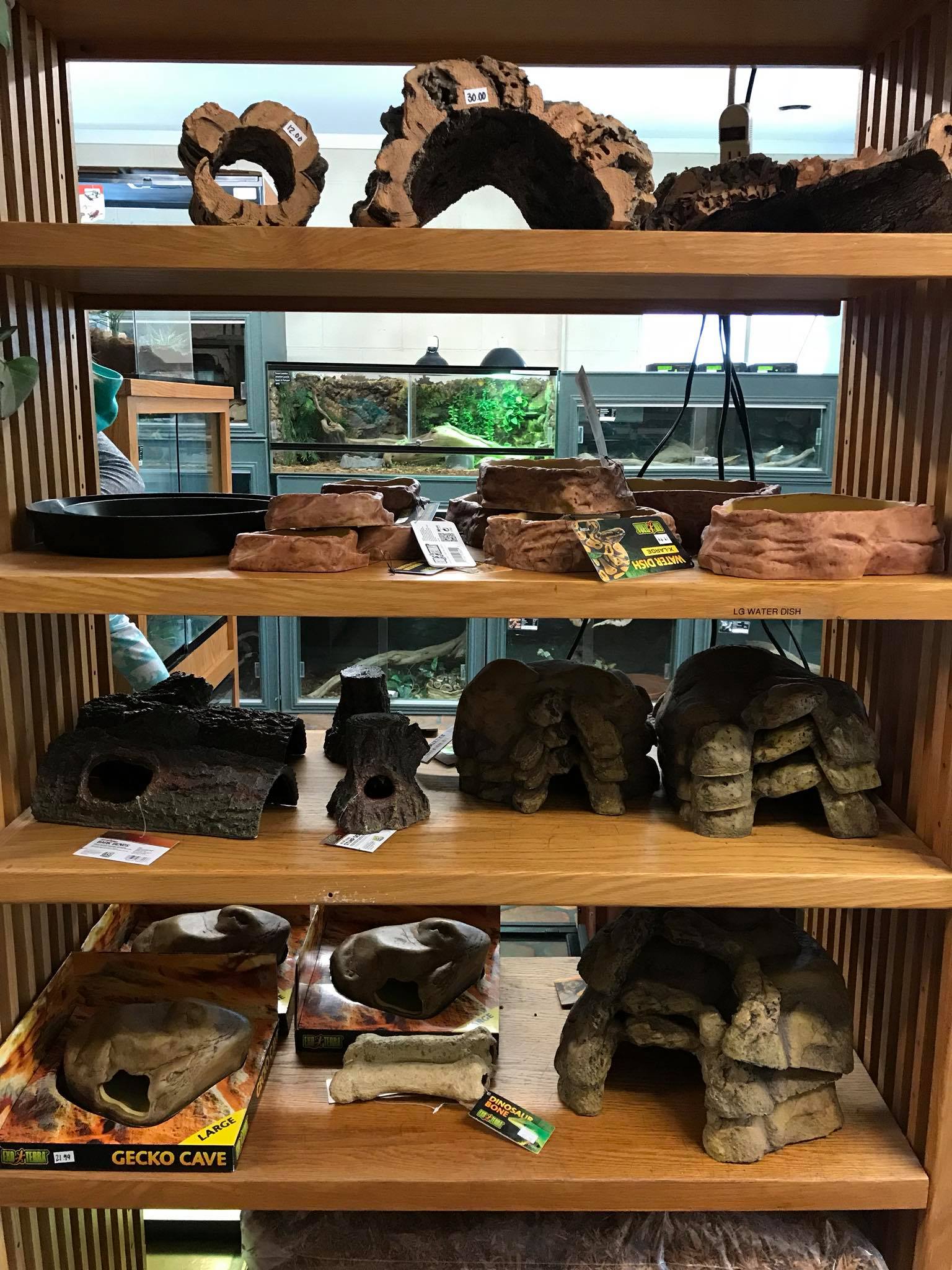 The Reptile Zone Oregon's Premier Reptile Store