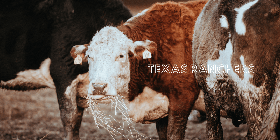 Texas Ranchers There's Still Hope