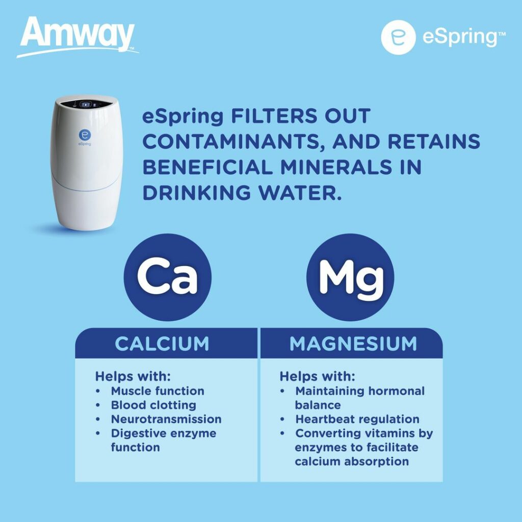 Amway eSpring Home Water Treatment System The Research Files