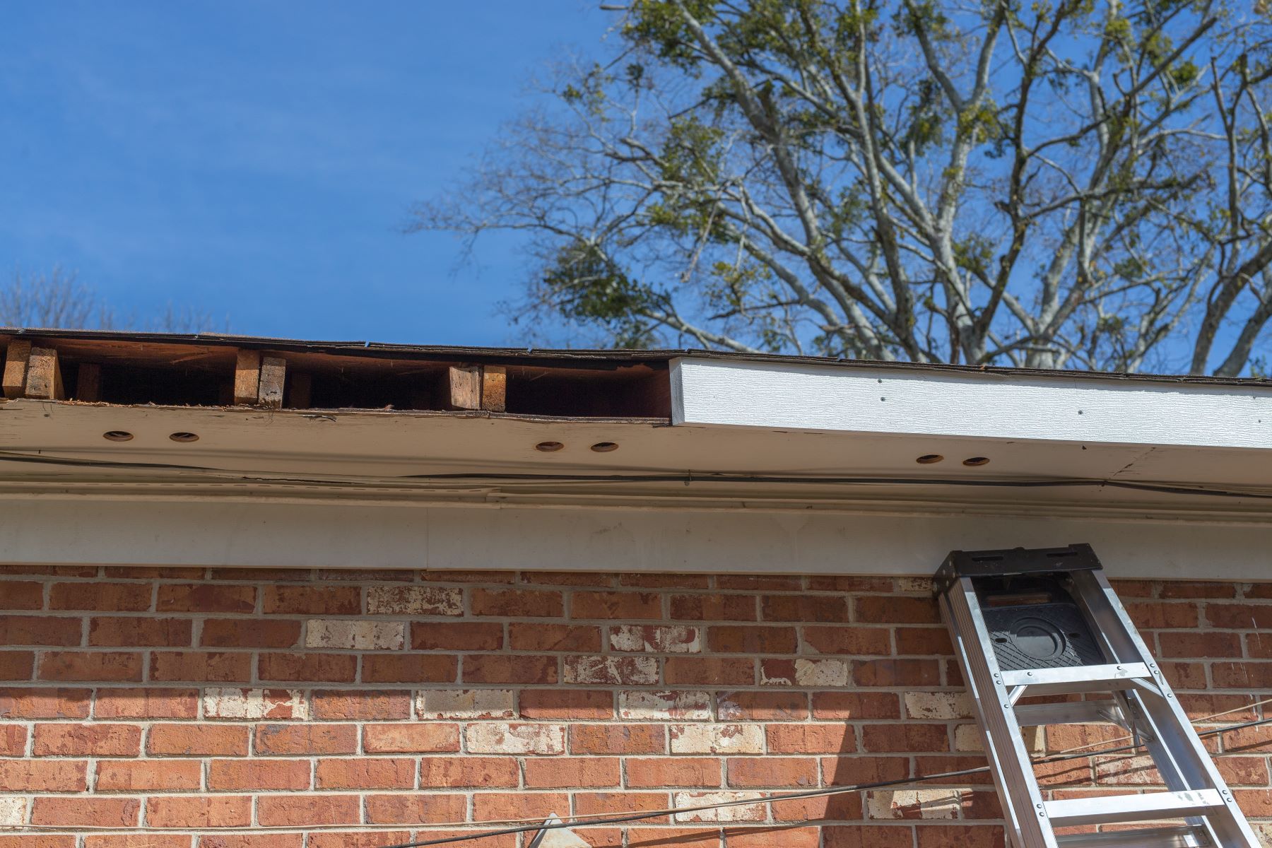 When Should You Replace Your Fascia Boards? ThermEco