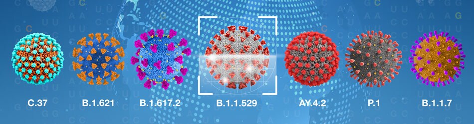 SARSCoV2 Variants and Mutations Poster Request Form Thermo Fisher
