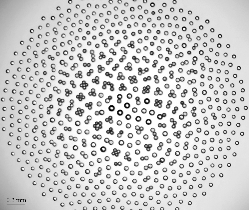 DIVERSITY OF LEVITATING DROPLET CLUSTERS