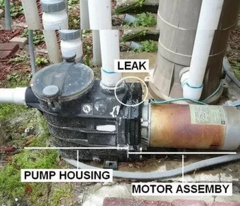 Common FAQs for Pool Heat Pump | Thermo Pools