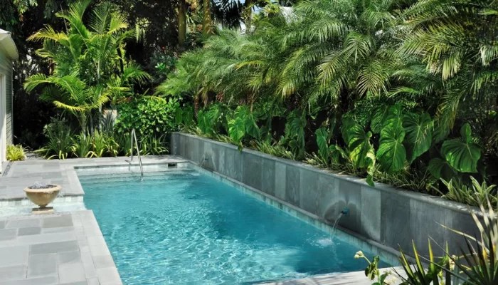 Pool Friendly Plants And Trees