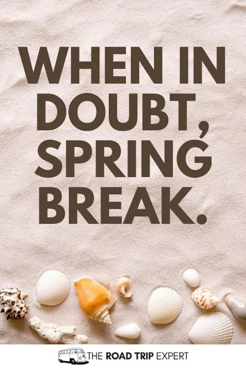 100 Amazing Spring Break Captions for Instagram (With Puns!)