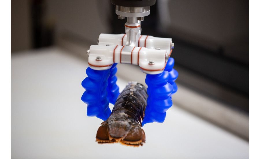 Soft Robotics adds JMP Solutions to integrator program