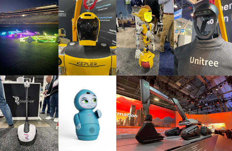 Latest Robots 2024 Rae Leigha(03)