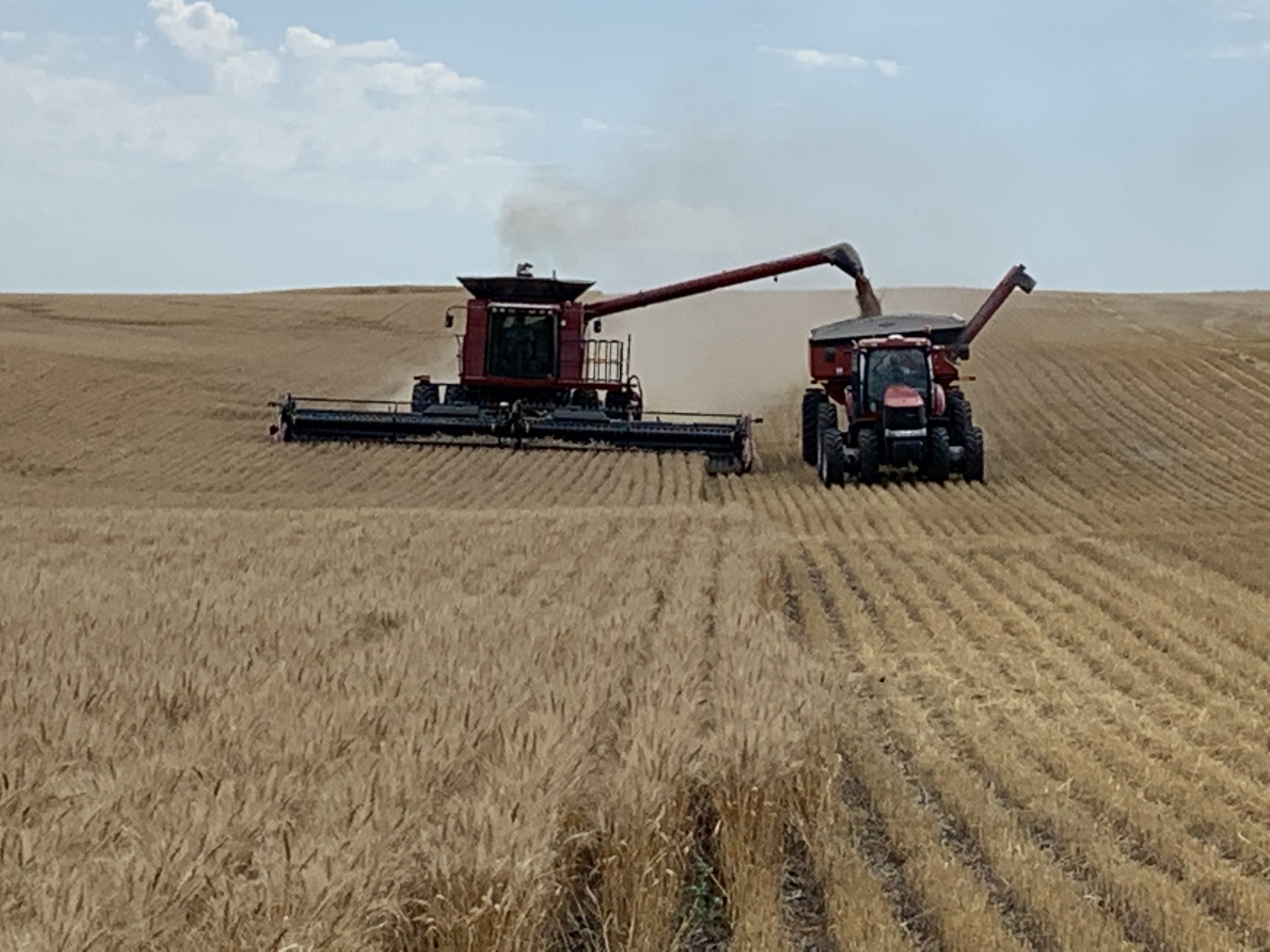 World Agricultural Supply and Demand Estimates The Roosevelt Review