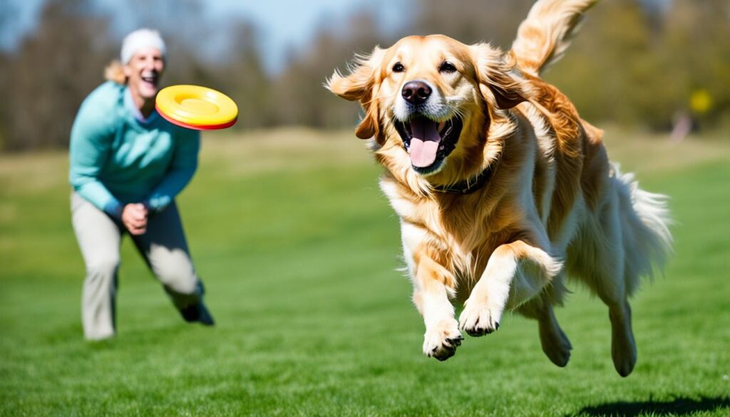 6 Fun Games for Golden Retriever Bonding & Play